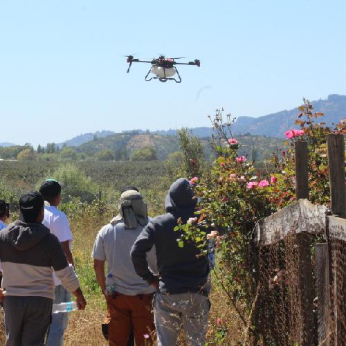 Drones fumigando campos